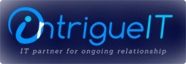 Website Design & Development by Intrigue IT